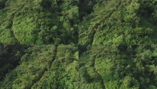 一位超级马拉松选手在热带雨林的山坡上奔跑的鸟瞰图，4k高清在线视频素材下载