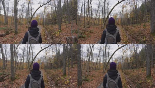 在秋季森林里徒步旅行的年轻女子，蒙特·特伦布兰特省公园，加拿大魁北克高清在线视频素材下载