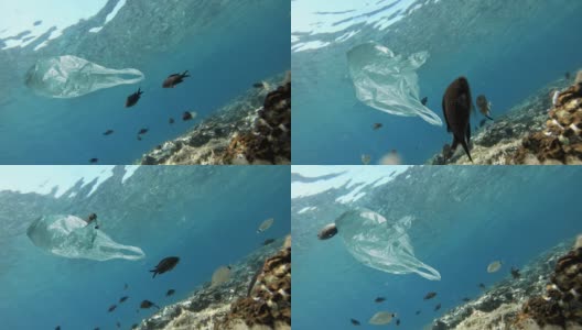 漂浮在海鱼附近的塑料袋高清在线视频素材下载
