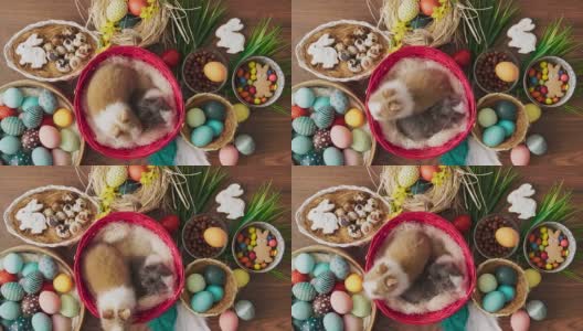 篮子里装着复活节兔子，木桌上放着五颜六色的彩蛋。复活节装饰。高清在线视频素材下载