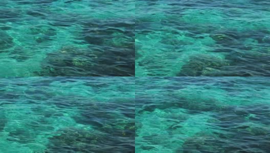 澳大利亚大堡礁高清在线视频素材下载