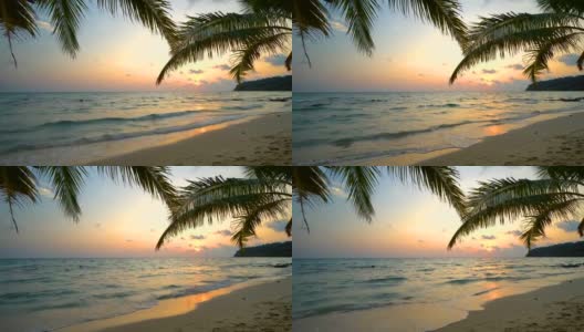 日落的海滩和海上椰子树高清在线视频素材下载