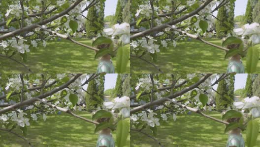 小女孩闻着树上的花，被旁边飞来飞去的蜜蜂吓坏了高清在线视频素材下载