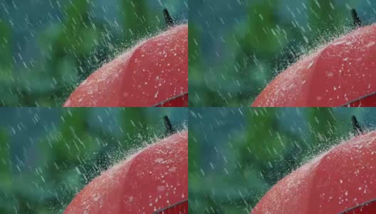 大雨落在红伞上高清在线视频素材下载