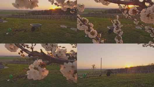 小推车和果树下的田园诗樱花树在乡村山坡日落高清在线视频素材下载