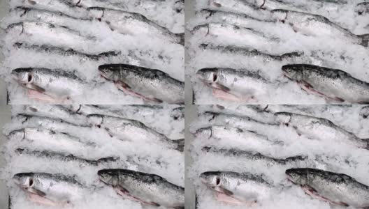 冰鲑鱼鳟鱼，在超市出售冷冻鱼高清在线视频素材下载