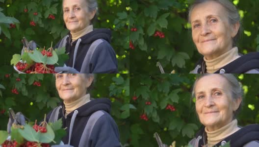 快乐美丽的大姐手捧红的野蔷薇浆果，在花园的树旁向大家展示，快乐的退休生活高清在线视频素材下载