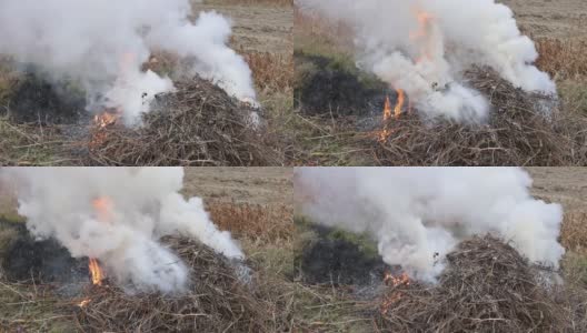 花园里的干草正在燃烧高清在线视频素材下载