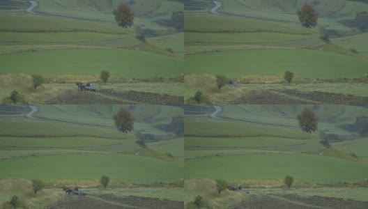 一辆马车在罗马尼亚的乡间缓缓前行高清在线视频素材下载