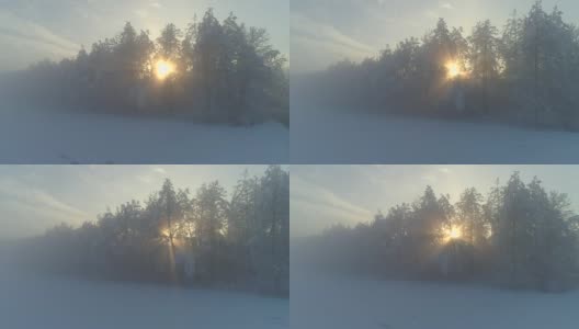鸟瞰图:冬日日出时，清晨的阳光穿过浓雾和雾气弥漫的树木高清在线视频素材下载