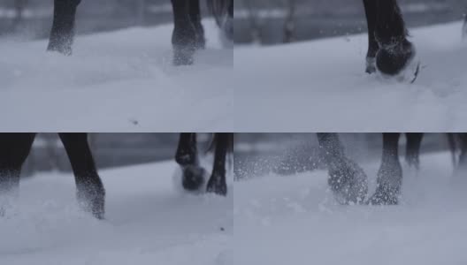 慢动作近距离细节马蹄走在新鲜的软雪在冬天高清在线视频素材下载