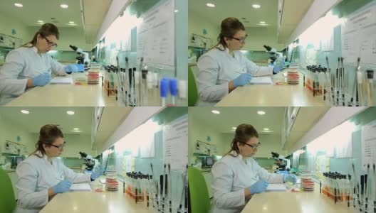 微生物实验室中年女博士高清在线视频素材下载