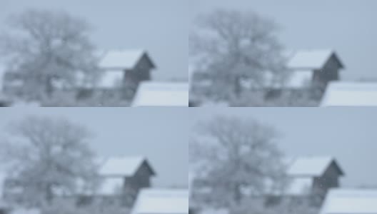 散焦景观上的降雪高清在线视频素材下载