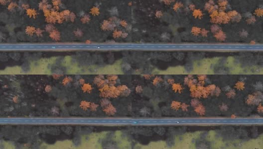 鸟瞰图与摄影车左侧的风景路线，在秋天，日光，日本。高清在线视频素材下载