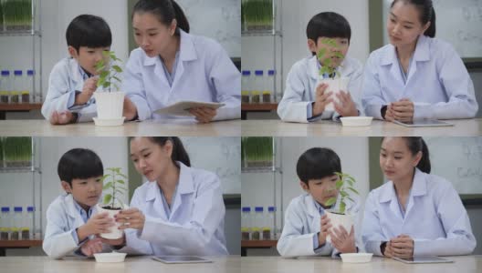 亚洲女教师教学生男孩在教室里试验农业。教看到叶绿素在智能农业的好处。教育、农业和技术的概念。高清在线视频素材下载