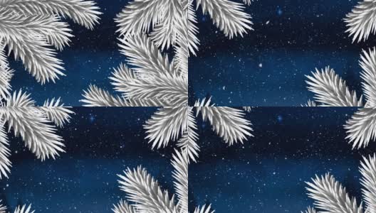 圣诞树的树枝在雪花的映衬下，在夜空中闪烁着蓝色的星星高清在线视频素材下载