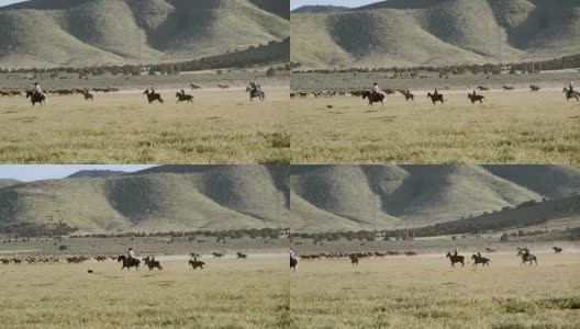 慢镜头美国犹他州的马和牛仔高清在线视频素材下载