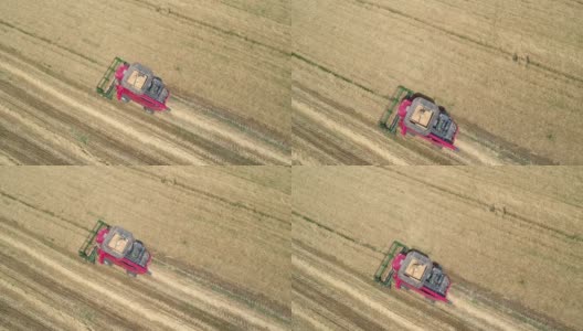 空中俯瞰收割机在中国新疆的农田里收割庄稼高清在线视频素材下载