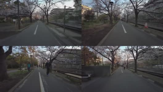 东京仙台堀川公园樱花骑行高清在线视频素材下载