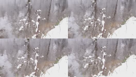 全高清视频很多雪在灌木附近的水特写，微风是移动高清在线视频素材下载