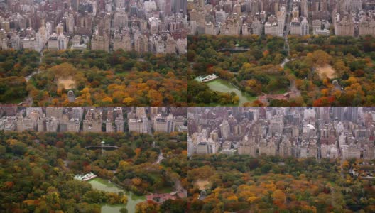 空中拍摄的秋季中央公园高清在线视频素材下载