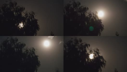 满月在夜空中穿过乌云和树木。间隔拍摄高清在线视频素材下载