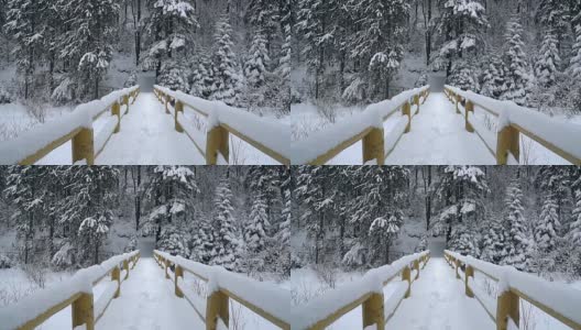 白雪覆盖的树木和桥梁高清在线视频素材下载