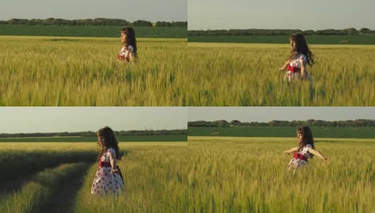 麦田里的孩子高清在线视频素材下载