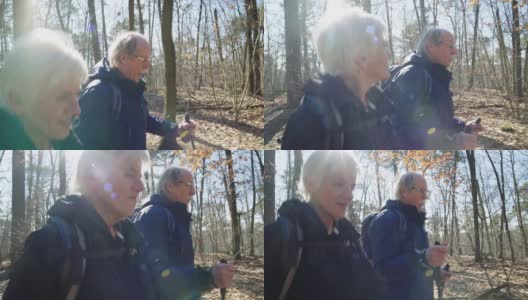 一对老夫妇在森林里徒步旅行时聊天高清在线视频素材下载