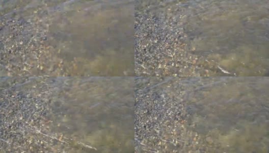 在阳光明媚的日子里，透过清澈的河水，可以看到美丽的五彩石头躺在河底。特写镜头。前视图。4 k。高清在线视频素材下载