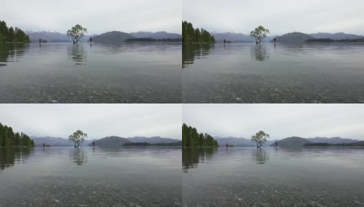 瓦纳卡树镜头在春天的湖边放大。高清在线视频素材下载