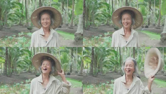 亚洲笑资深女农民在椰子农场工作。年长妇女的肖像微笑相机与快乐的脸。年纪大了还健健康康，带着幸福的观念生活。高清在线视频素材下载