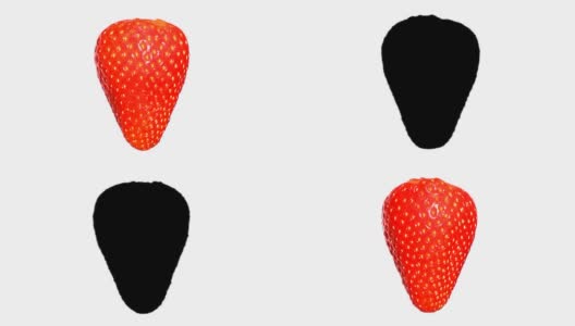 草莓在白色背景上旋转。包括亮度通道。高清在线视频素材下载