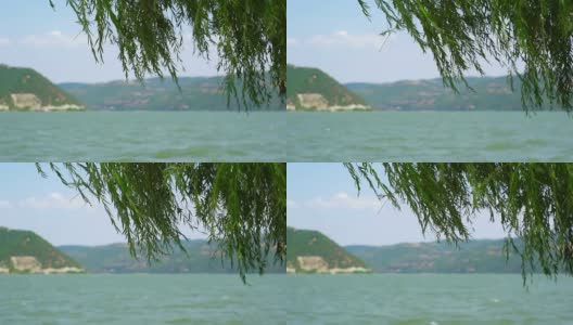 多瑙河的夏天有柳树高清在线视频素材下载