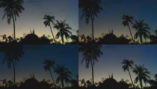 热带景观与棕榈树对日出。高清在线视频素材下载