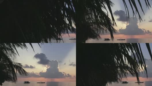 以天空和印度洋为背景的棕榈树。马尔代夫的视频高清在线视频素材下载
