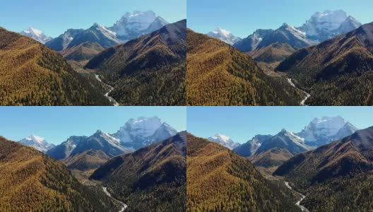 鸟瞰亚丁自然保护区以松林和雪山为背景的秋谷高清在线视频素材下载