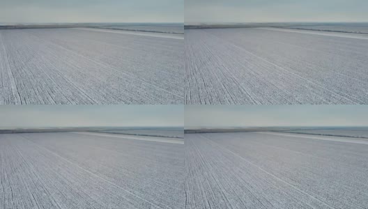 空中的电影剪辑在冬季大雪下的麦田上空飞行高清在线视频素材下载
