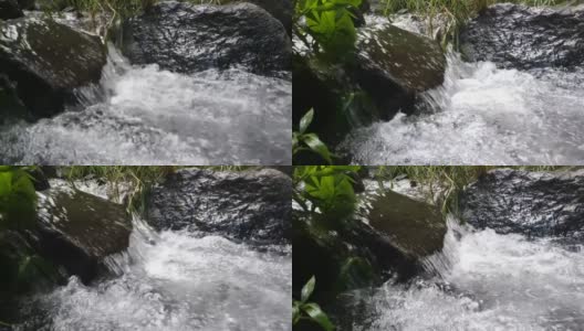 一条小河在一片天然森林中间流过高清在线视频素材下载