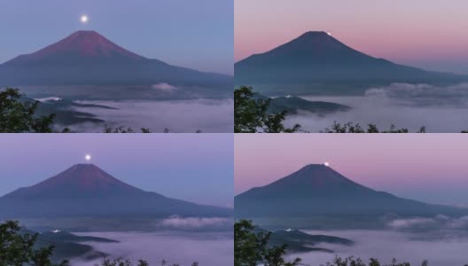 大村二十歌关的珍珠富士和红富士的延时视频高清在线视频素材下载