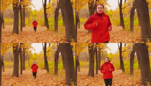 迷人的女运动员穿着鲜艳的运动服和运动鞋在秋天的公园跑步。训练和运动高清在线视频素材下载