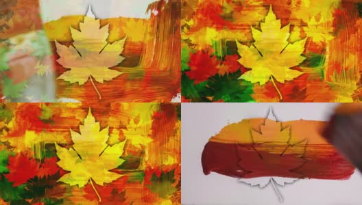 美术的秋叶。高清在线视频素材下载
