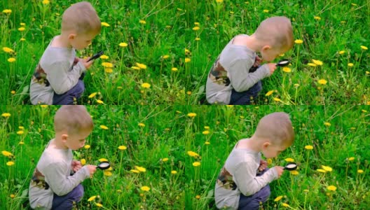 这孩子用放大镜看花。有选择性的重点。高清在线视频素材下载