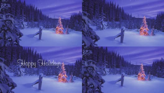 圣诞树在下雪的天空下发光高清在线视频素材下载