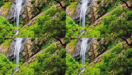 瀑布在热带雨林高清在线视频素材下载
