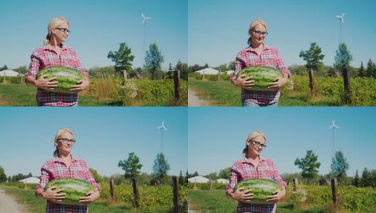 一位漂亮的农妇扛着一个大西瓜在田里走来走去。农村生活丰收高清在线视频素材下载