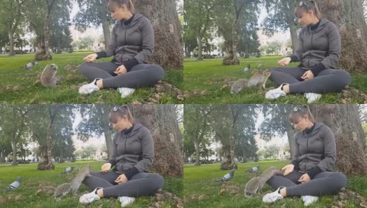 特写:在美国波士顿公共公园，一只野生松鼠从女孩的手中拿走食物高清在线视频素材下载