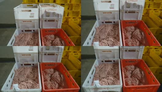 肉类加工厂的冷冻室。装在盒子里的碎鸡肉高清在线视频素材下载