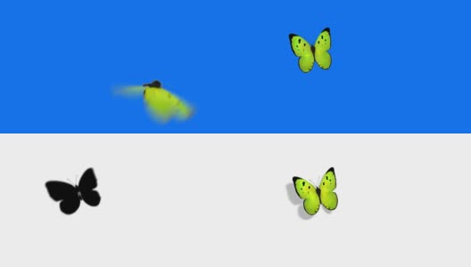 蓝色背景上的绿蝴蝶。美丽的3d动画与阴影和全局照明。全高清高清在线视频素材下载
