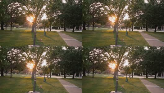 建立傍晚电影琥珀拍摄的公园，看到在傍晚高清在线视频素材下载